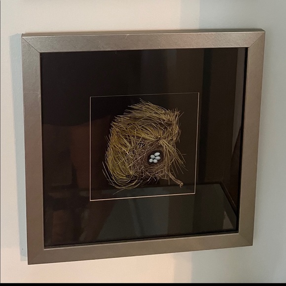 PAIR of 18”x18 companion prints. Natural Bird Nests. - Picture 2 of 2